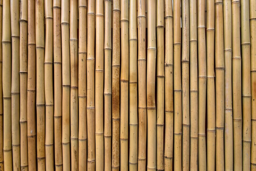 Is Bamboo a Type of Wood?